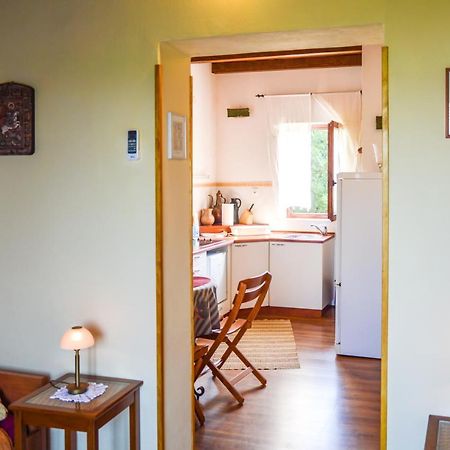 Apartment Zoja Pinezići Kültér fotó