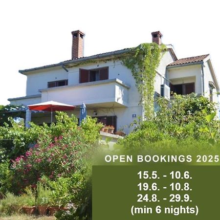 Apartment Zoja Pinezići Kültér fotó