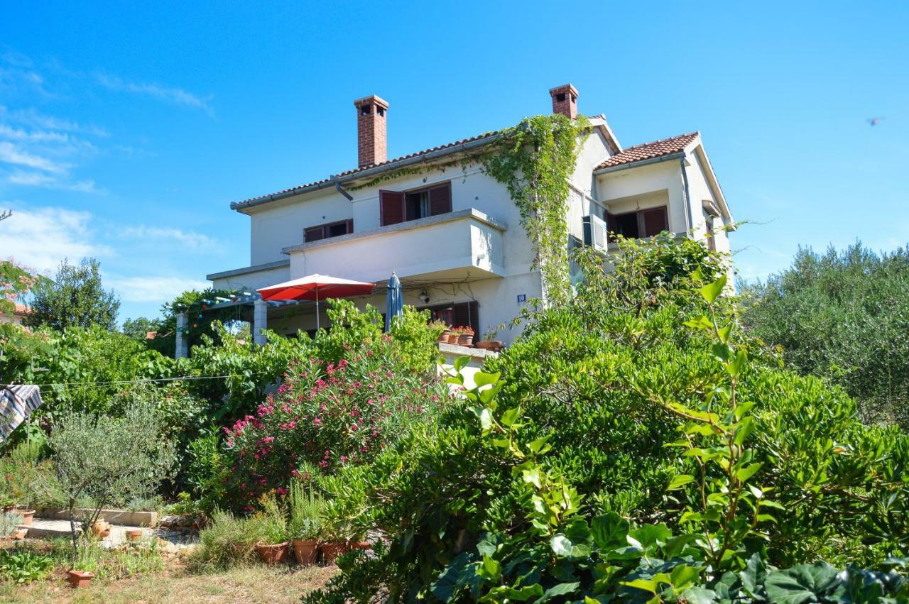 Apartment Zoja Pinezići Kültér fotó