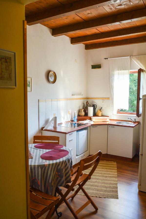 Apartment Zoja Pinezići Kültér fotó
